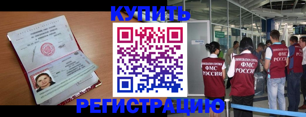 прописка поиск в Купино